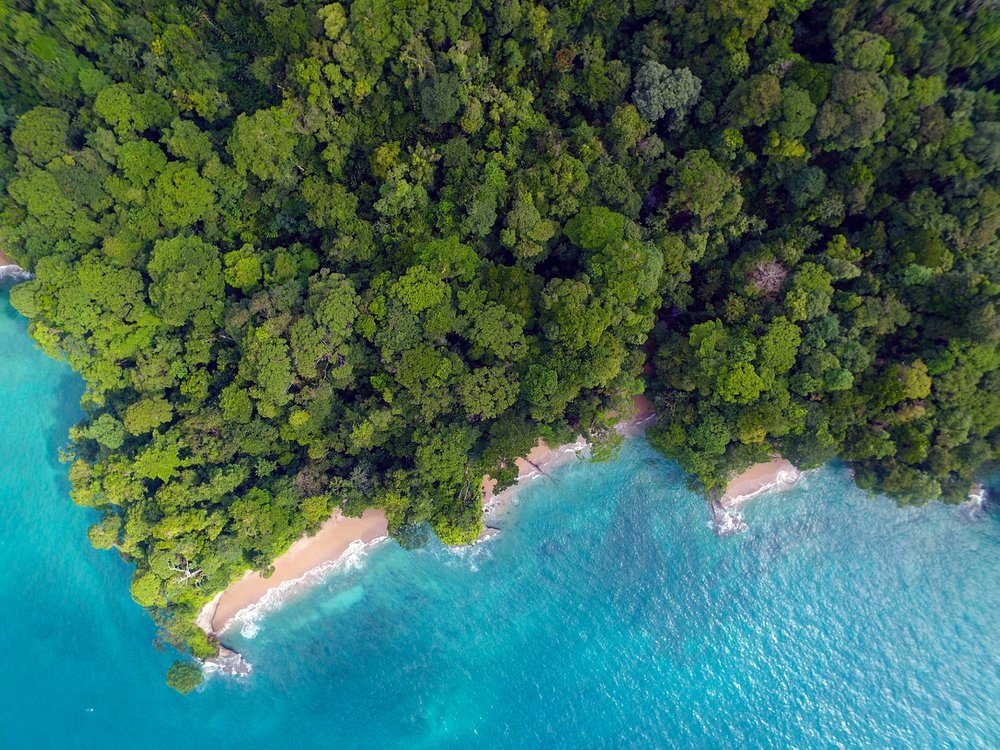An Indigenous Language Book Presents the Unique Biodiversity of a Panamanian Island